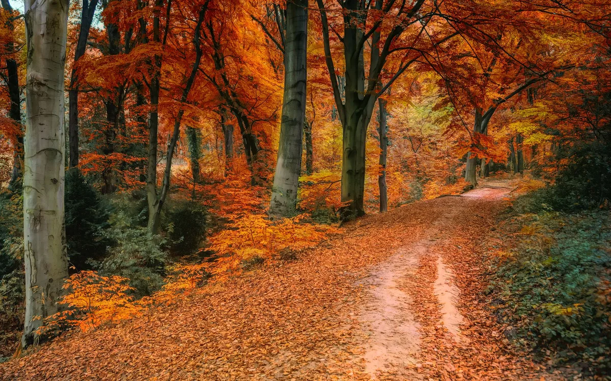 Najlepsze pory roku na spacer