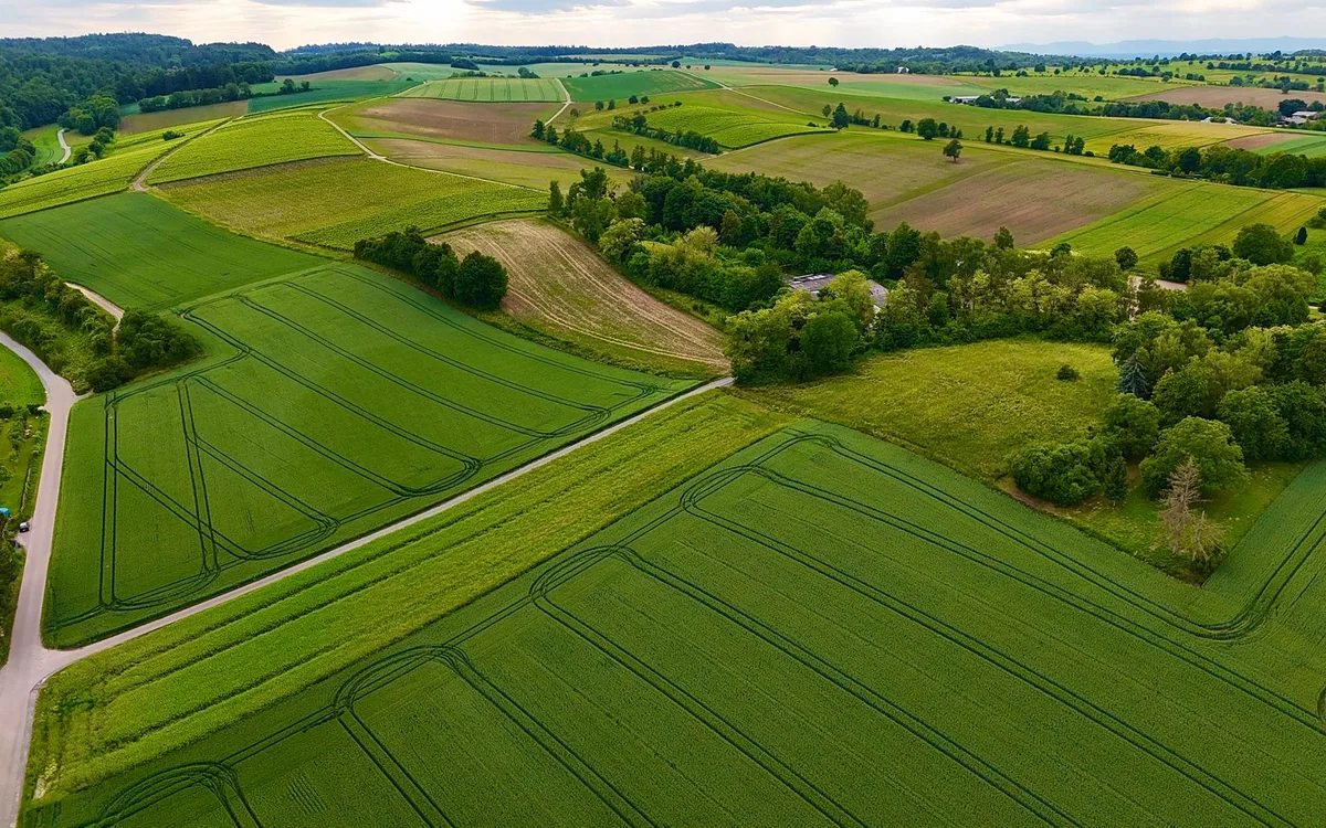 Najczęstsze pytania o działki w Grodzisku Mazowieckim