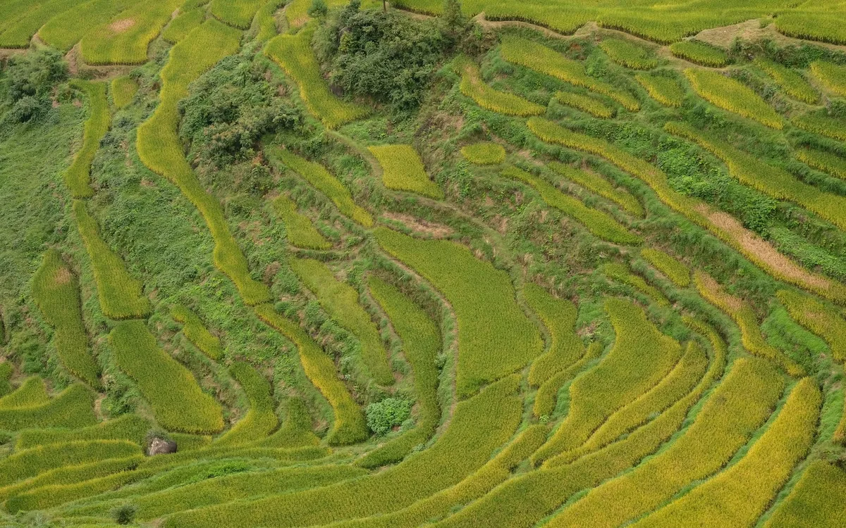 Inspiracje i wpływ na kulturę filmową