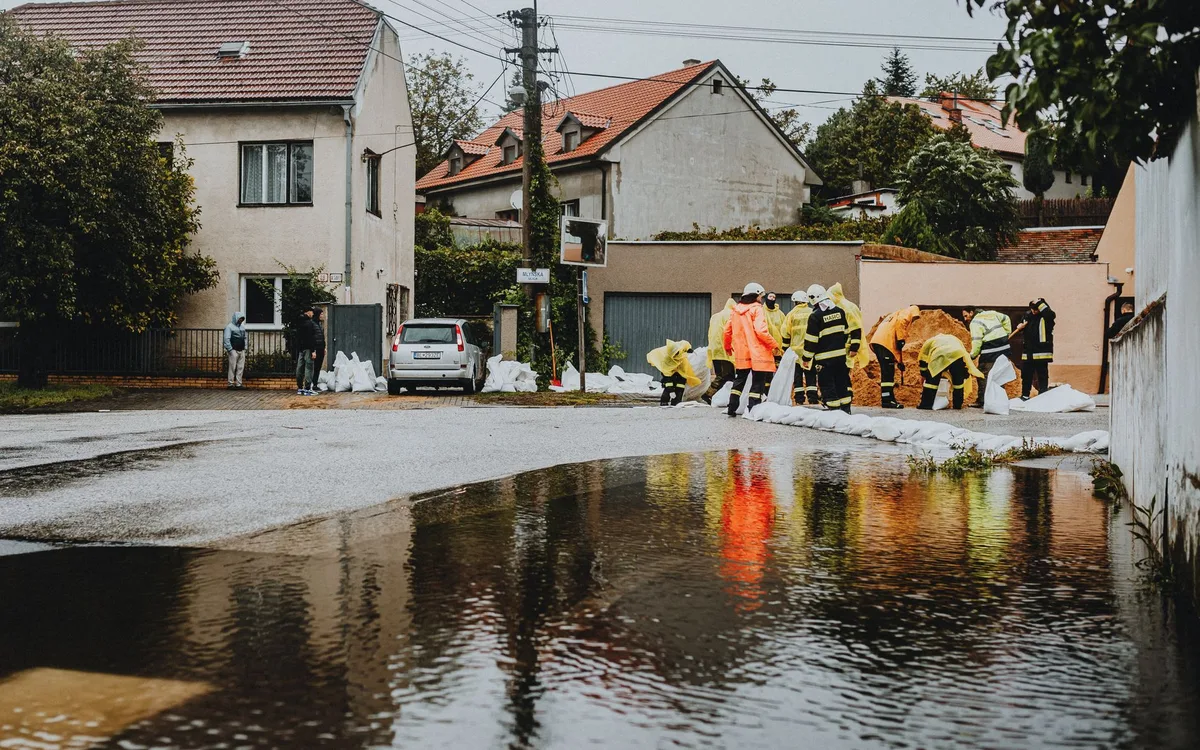 Najczęstsze błędy mieszkańców przed wizytą w starostwie