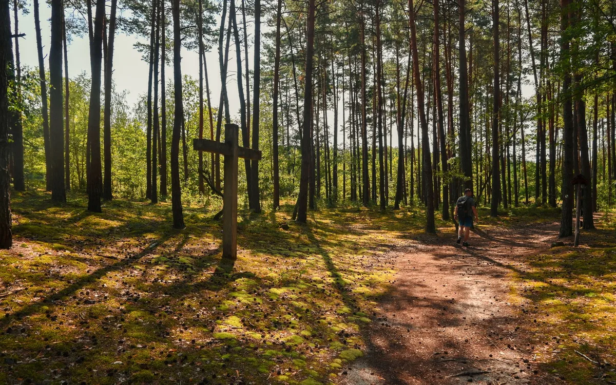 Kampinos i inne wypady z Grodziska - porównanie